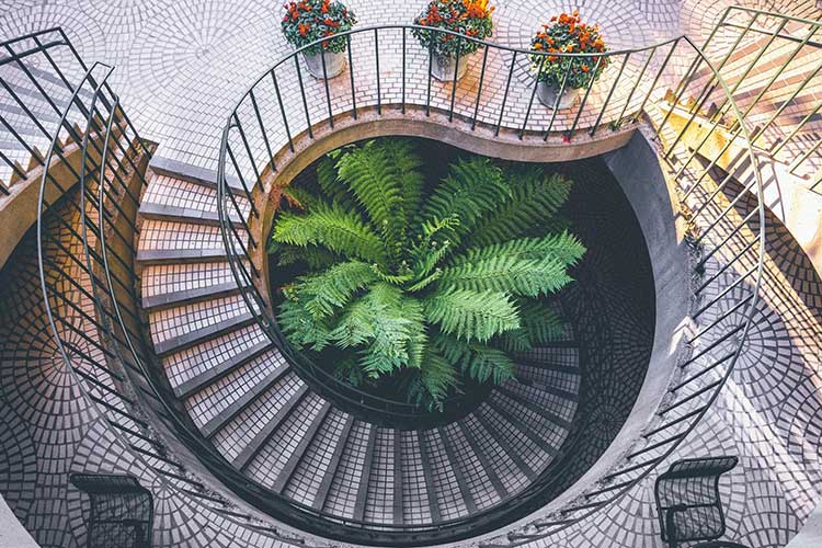 Subscribe to Newsletter